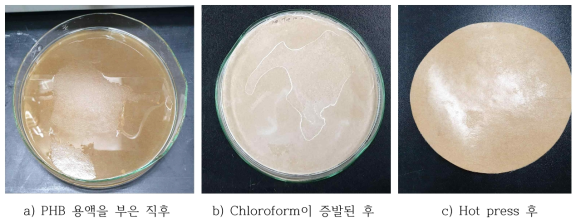 PHB 코팅지 제조 과정 중 코팅지의 표면 변화