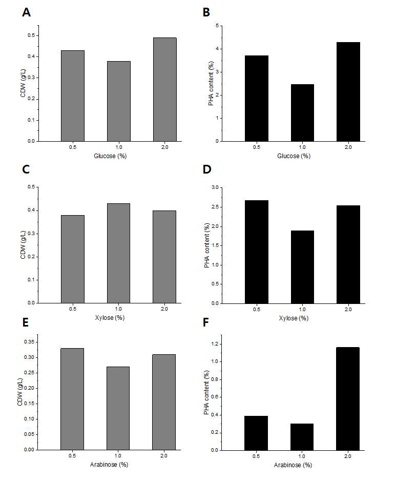 산림 바이오매스 관련 당 농도별 Bacillus sp.의 균주 성장 및 PHA 생산 결과
