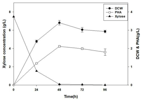 최적조건에서의 PHA 생산