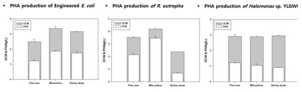 산림바이오 매스로부터 PHA 생산