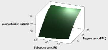 Effect of substrate concentration and enzyme concentration on reduced sugar for Pinus rigida (25kgf/cm2, 13min)