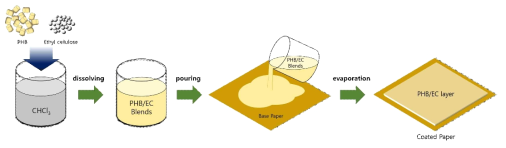 PHB/EC 코팅지 제조 프로세스