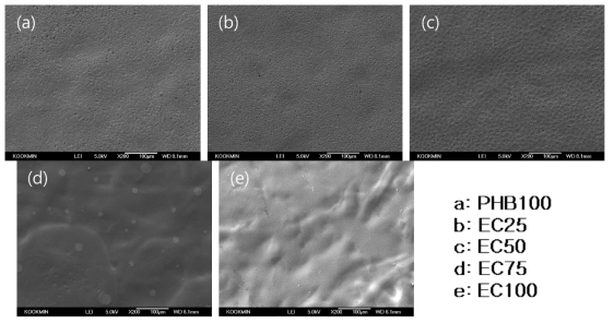 고분자 혼합비에 따른 PHB/EC 코팅지 표면 변화