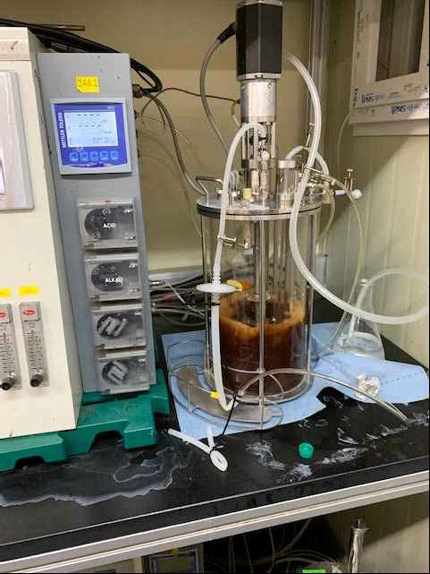 7 L scale 혼합균주 기반 PHA 배양실험