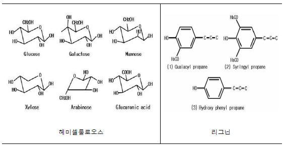 헤미셀룰로오스 (좌)와 리그닌 (우)이 주요 성분
