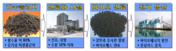 한국서부발전의 하수슬러지를 이용한 바이오연료 제조 및 전기생산과정