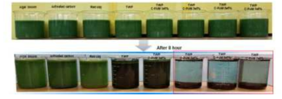 Comparison of algal bloom water treated using Activated carbon, Red clay, TWP, surface-modification TWP