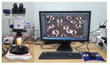 실체현미경을 이용한 재감의 횡단면 이미지 획득