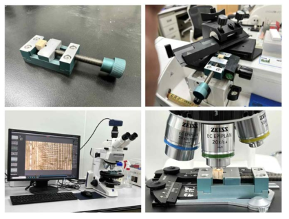 마이크로톰-현미경 호환 홀더를 이용한 목재 방사면, 접선면 해부학적 구조 관찰. 마이크로톰에서 목재의 방사 및 접선 절단면 제작 후에 홀더를 반사현미경에서 검경이 가능함
