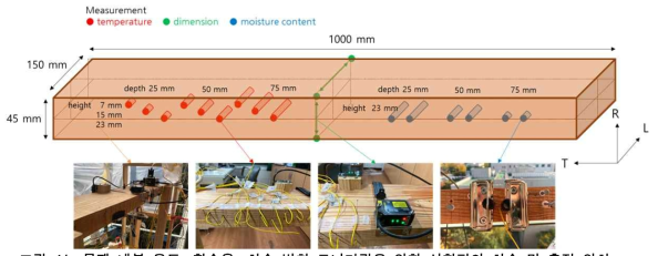 목재 내부 온도, 함수율, 치수 변화 모니터링을 위한 시험편의 치수 및 측정 위치