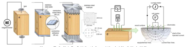 목재 함수율 측정을 위해 조사된 다양한 유형의 전극. (a) 2-pin 전극, (b) 전기전도성 패브릭, (C) 다중핀, (d) 4-point probe