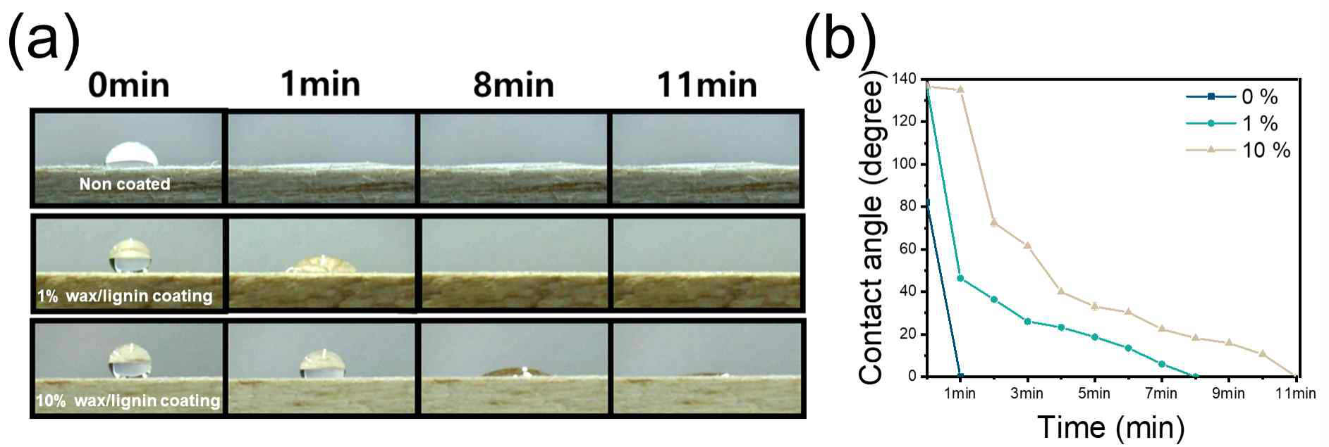 리그닌/카나우바 왁스 복합 코팅 용액의 소수성 평가 실험 결과 (a) 시간에 따른 표면 접촉각의 변화 이미지, (b) 시간에 다른 표면 접촉각 변화 양상