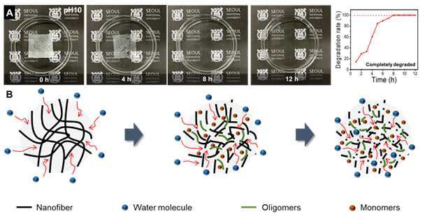 알칼리환경에서의 PBS 나노섬유 분해 이미지