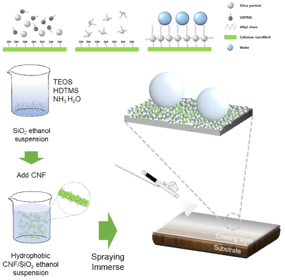 셀룰로오스 나노섬유와 실리카 나노입자간의 상호작용 모식도