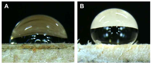 (A) 합판, (B) 코팅용액을 도포한 합판의 접촉각 비교