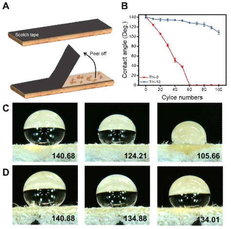 테이프 부착 횟수에 따른 접촉각 변화 (A) 부착성 실험의 모식도, (B) 반복횟수에 따른 접촉각 변화, (C-D) CNF 첨가 전 후의 0회, 10회, 20회 반복 후 접촉각 변화 이미지