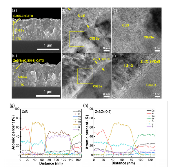 반투명 CIGS 박막 태양전지의 TEM 분석결과. (a-c) CdS 버퍼층을 이용한 반투명 CIGS 태양전지, (d-f) Zn(O,S) 버퍼층을 이용한 반투명 CIGS 태양전지, (g) CdS 버퍼층과 (h) Zn(O,S) 버퍼층을 이용한 반투명 CIGS 태양전지의 수직방향 line scan 결과