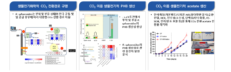 생물전기화학반응 시스템 개발전략