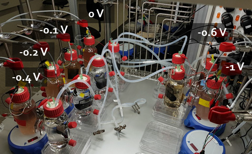 생물전기화학 반응기 내 인가전압 최적화 실험