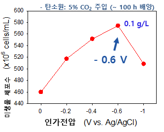 인가전압 조건에 따른 생물전기화학 반응기 내 미생물 성장 농도 비교