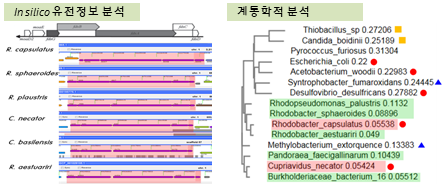 CO2전환 신규효소 발굴