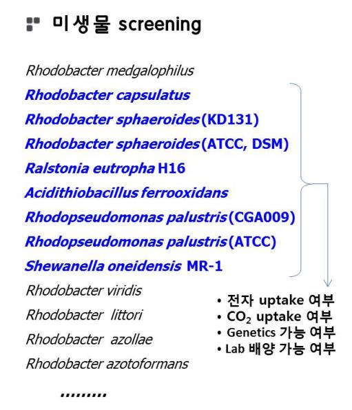 미생물 촉매 screening을 위한 pool 확보