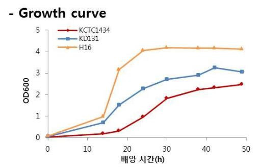 미생물 촉매별 생장곡선 비교 그래프