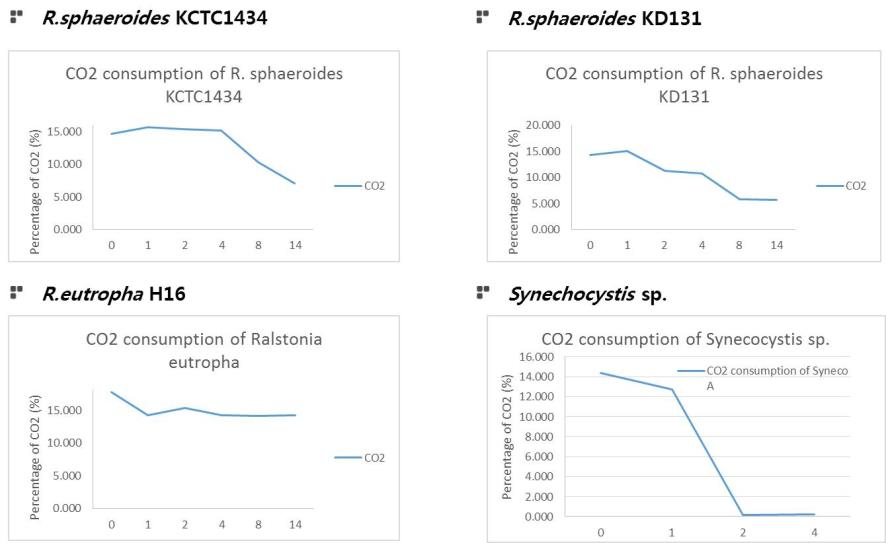 미생물 촉매별 CO2 소모량 측정