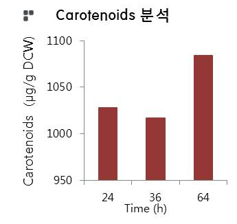 미생물 촉매로부터 생산한 Carotenoids 분석 결과