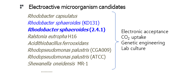 전기활성 미생물 촉매 선정