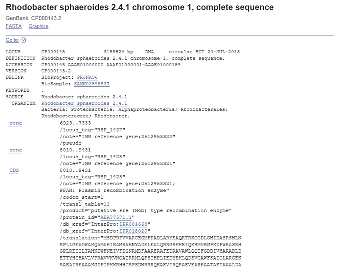 Rhodobacter sphaeroides 2.4.1의 유전 정보 분석