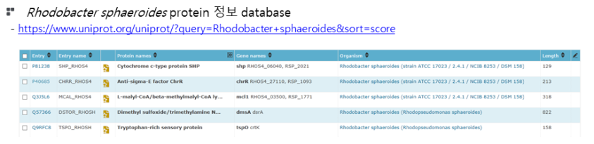 Rhodobacter sphaeroides 2.4.1의 단백질 정보 분석