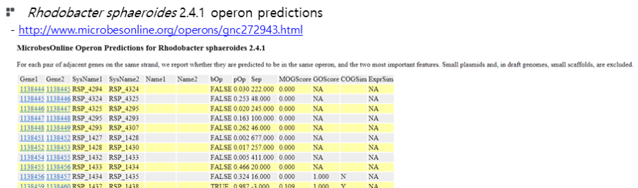 Rhodobacter sphaeroides 2.4.1의 operon 분석 tool