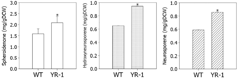 미생물 촉매의 카로테노이드(spheroidenone, hydroxyneurosporene, neurosporene) 생산량 비교