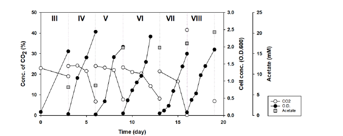 연속적인 계대배양을 통한 세포성장, CO2소모 및 아세트산 생성