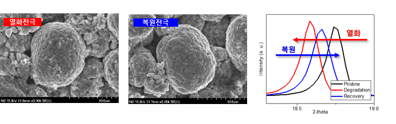 양극 열화전극 및 복원전극 SEM 이미지 분석 (좌), XRD 분석 (우)