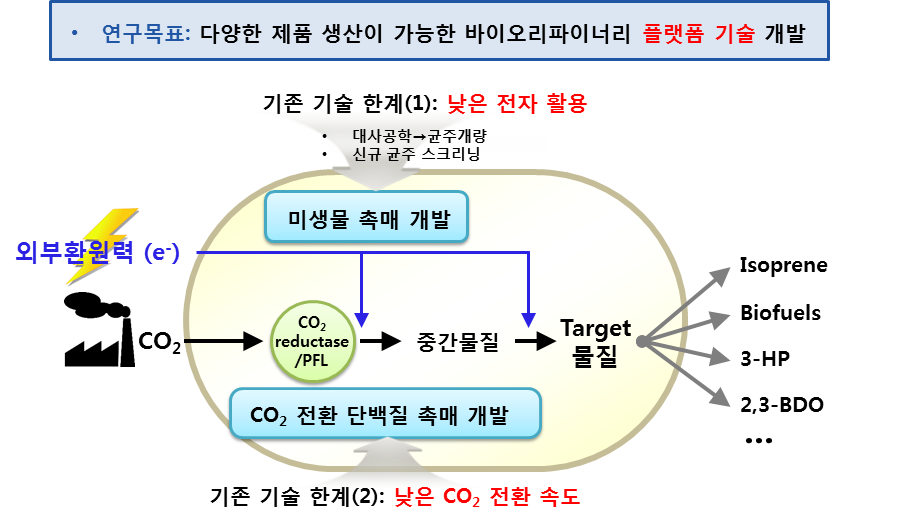 CO2 전환 e-바이오리파이너리 기술의 모식도