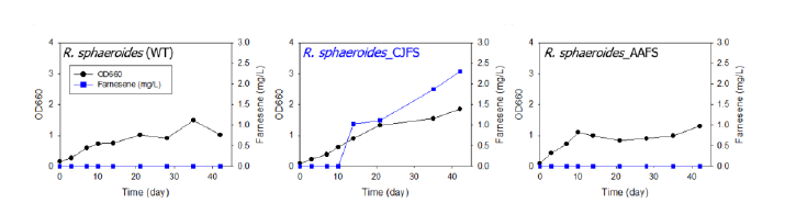 β-farnesene synthase가 도입된 미생물 촉매의 farnesene 생산 결과