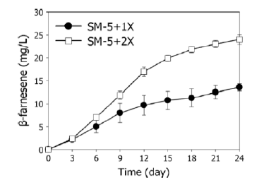 배지 내 추가 영양성분 공급 후 β-farnesene 생산 결과