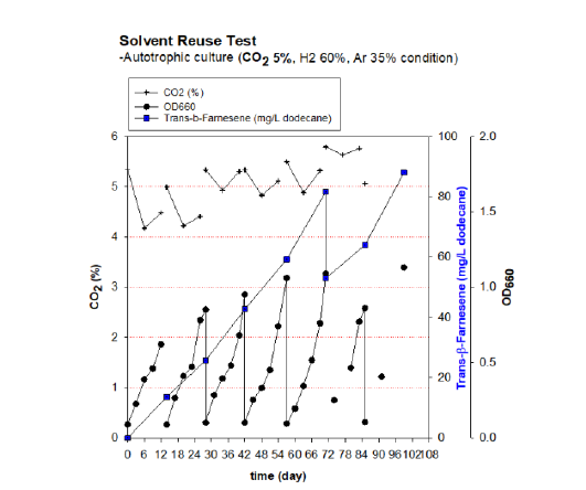 추출 용매 재사용 및 연속 batch 배양을 통한 β-farnesene 생산 결과