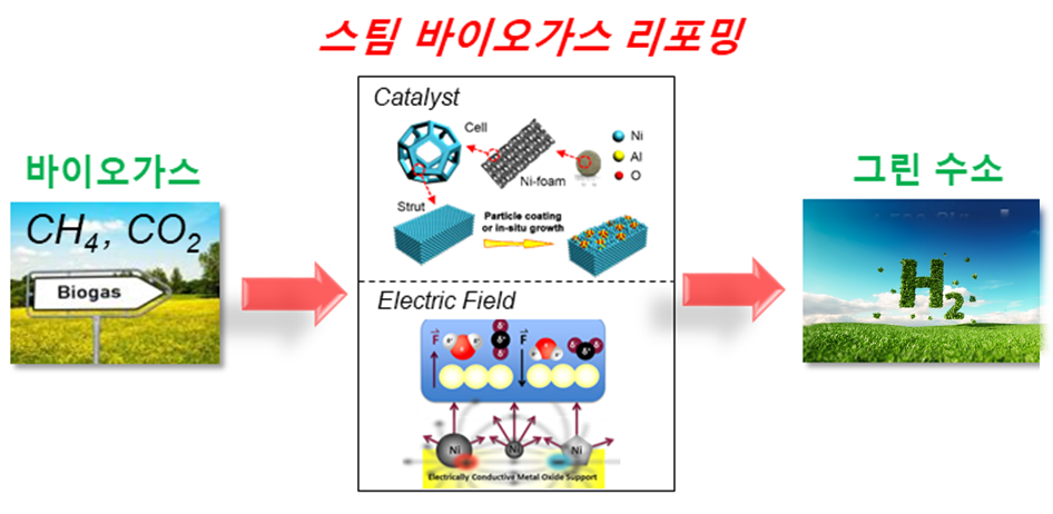 전기장 부과 촉매반응 시스템 이용 바이오가스로부터 그린 수소 생산 개념도