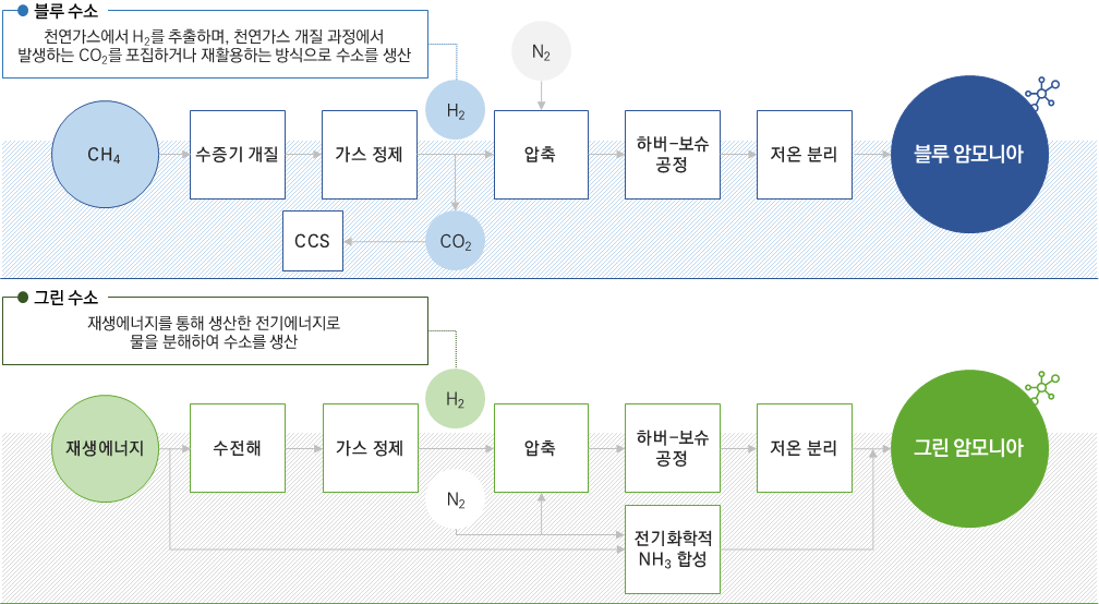 청정 암모니아 개념