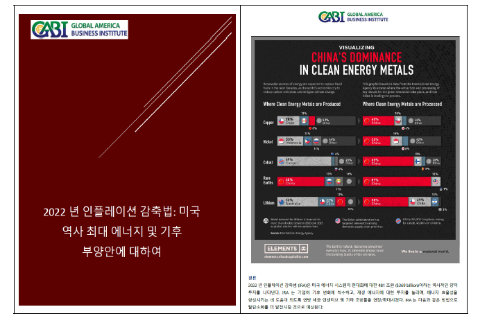 2022년 GABI Issue Report