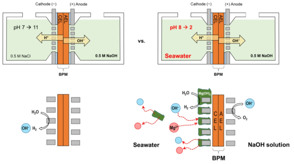 해수 산성화의 메커니즘: 양극성 막의 물 해리반응과 무기침전반응간의 시너지 효과