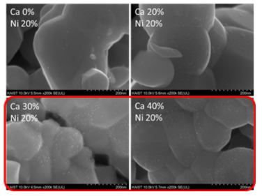 Ca 치환량에 따른 Ni 용출 현상 제어 실험 결과