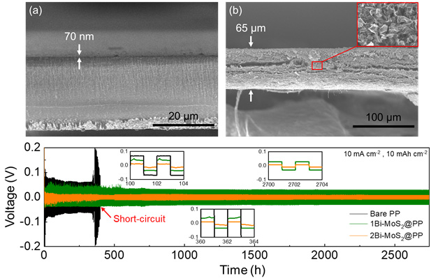 MoS2/Crumpled graphene 소재 및 전극 수명 시험 결과