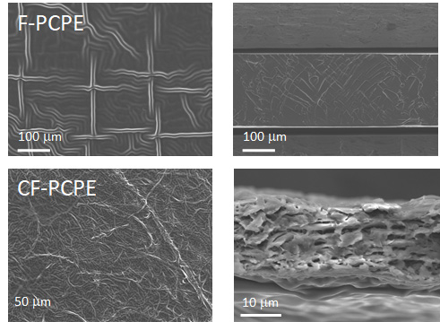 고체전해질막(F-PCPE 및 CF-PCPE) 표면 및 단면 SEM 분석 결과