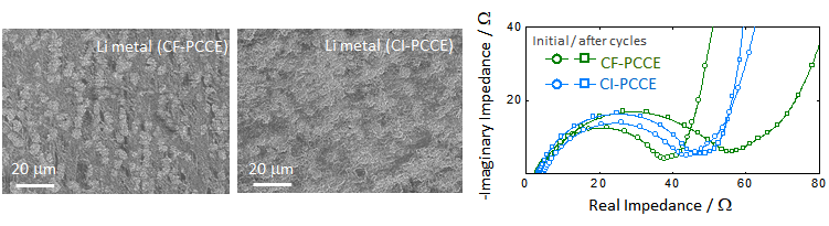 (左) 충방전 후 리튬 음극 SEM 분석 및 (右) 셀 임피던스 측정 결과