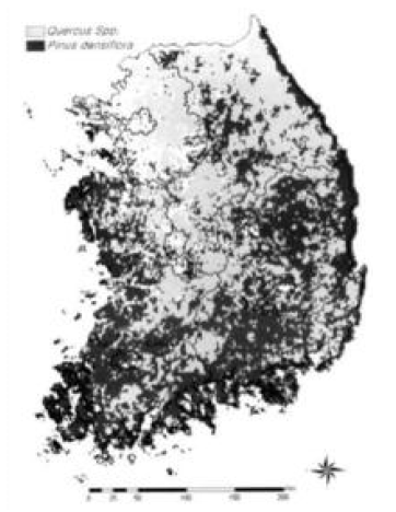 소나무림과 참나무림 분포 현황(이종수 등, 2000)