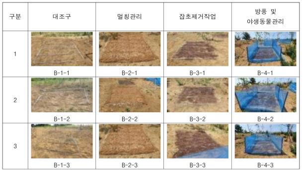 Test bed 6의 시험구 배치[12개의 파종 시험구]